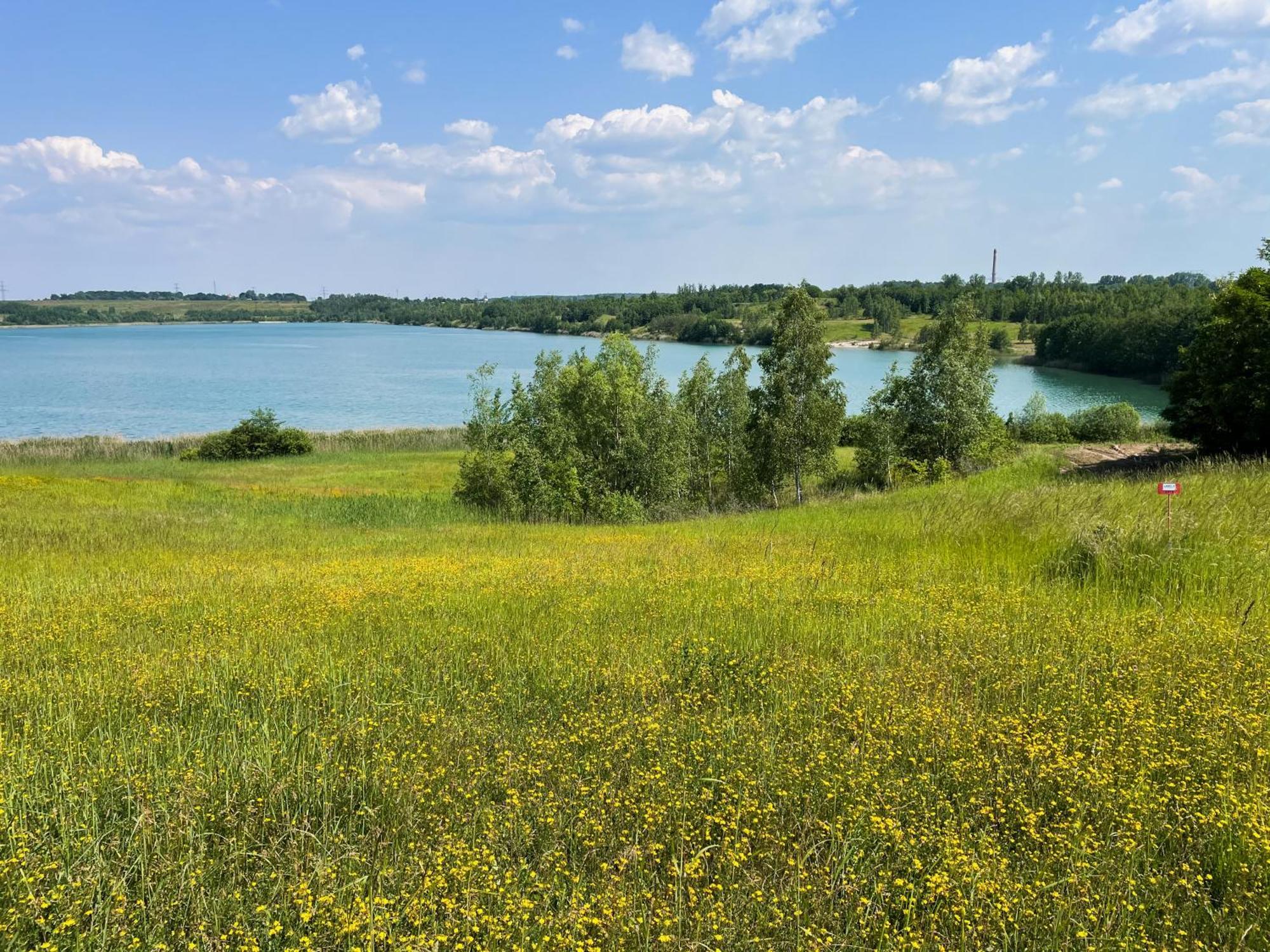 Haus Im Schilf 2 - Ferienwohnungen Am Hainer See Bei Leipzig Neukieritzsch Екстер'єр фото